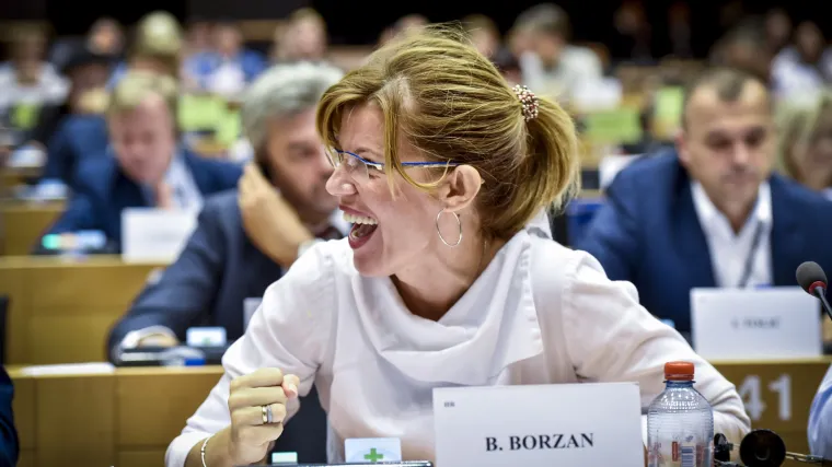 Odzvonilo programiranim kvarovima na televizorima, perilicama... EU parlament izglasao to prijedlog Biljane Borzan