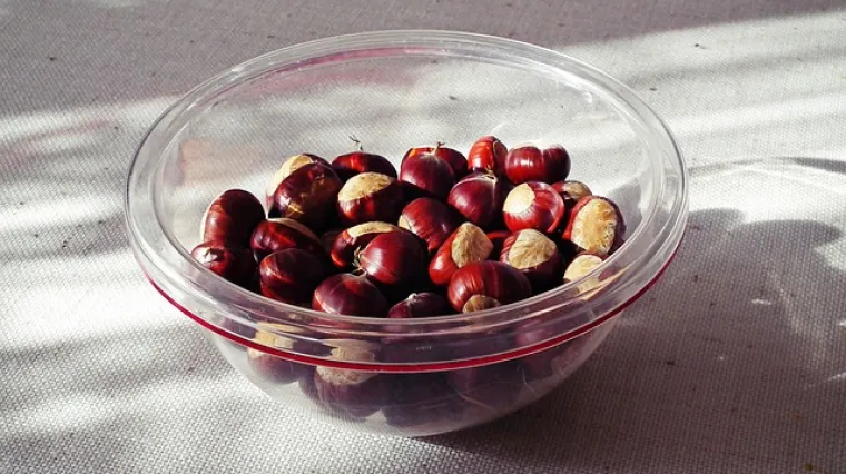 Recept kako se radi ukusna juha od kestena