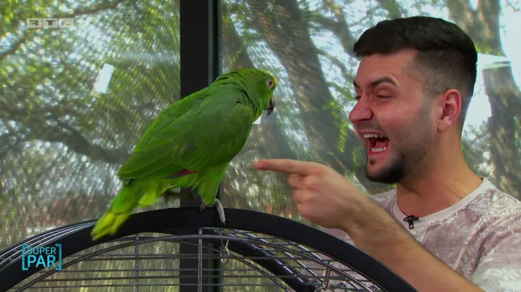 Sraz Martine i papige Soi nasmijao Ismaela do suza: 'Opasna'