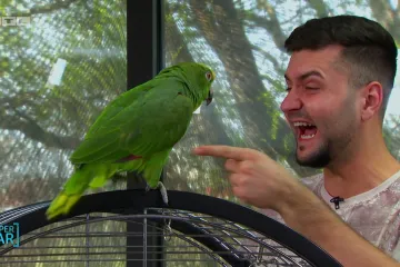 Sraz Martine i papige Soi nasmijao Ismaela do suza: 'Opasna'