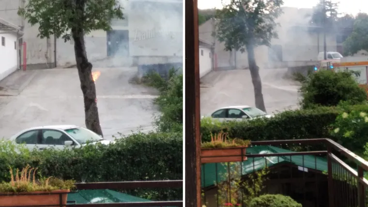 FOTO Grom udario u stablo u Istri. Fotografije objavio DHMZ