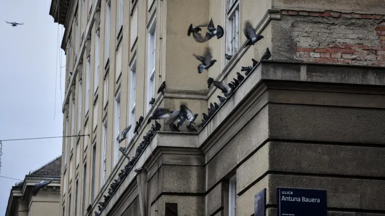 Godinu dana nema prolaska kolnikom u zagrebačkoj Bauerovoj! Počinju radovi