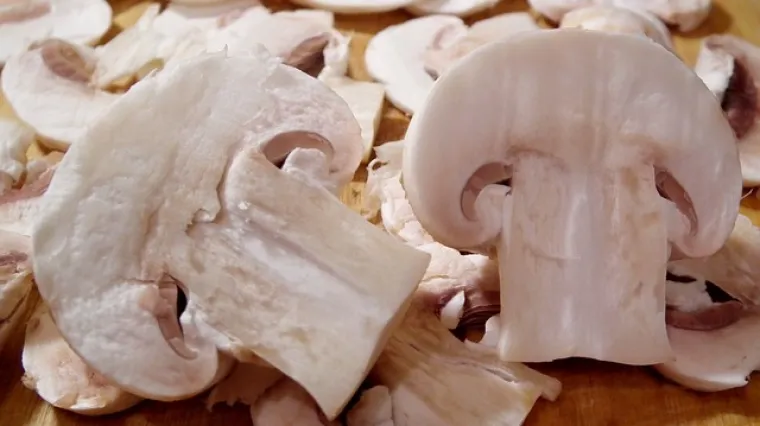 Recept i upute kako pripremiti &scaron;ampinjone