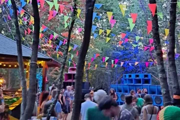 Dub legende stižu u srce Istre: Uskoro počinje slavlje soundsystem kulture u magičnom šumarku