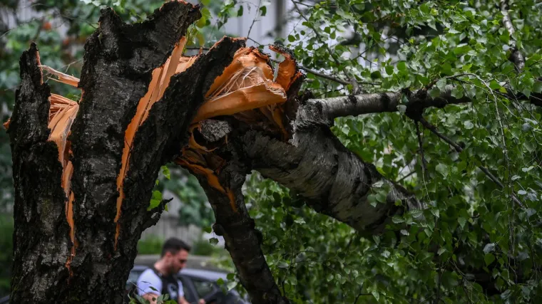 Vjetar nosio limene krovove i rušio stabla: Ozlijeđena 15-godišnjakinja prevezena u bolnicu, a oštećeno je i nekoliko vozila