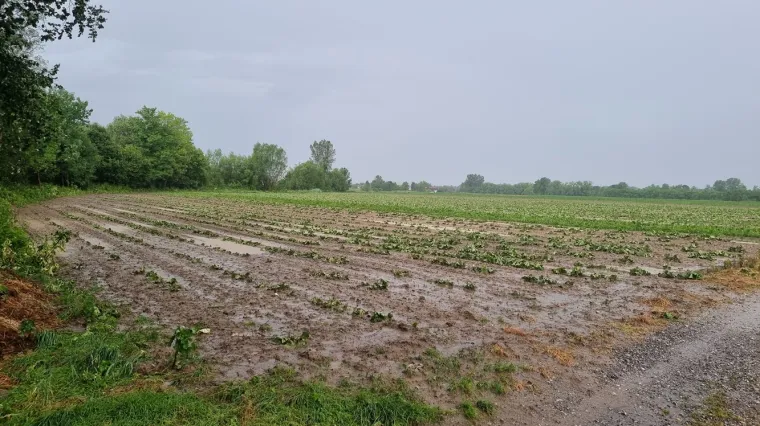 Jučera&scaron;nje nevrijeme pogodilo sedam županija. Njih pet ostalo bez struje, uni&scaron;tena su polja...