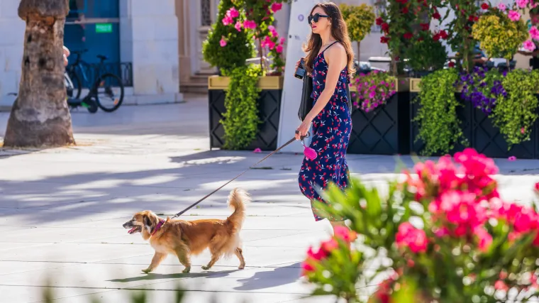 Svježe jutro, na moru i toplo, a temperature i do 30 stupnjeva. Već u utorak frontalni poremećaj