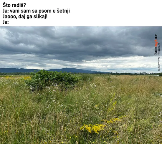 Trava svugdje oko nas...