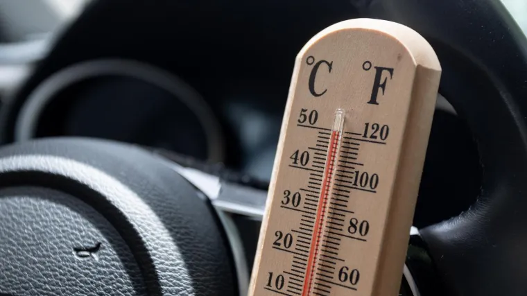 U vrelom automobilu ostavili životinje. Rotvajler i jedna mačka uginuli, spašavali ih prolaznici