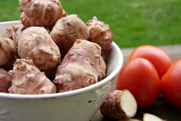 Čaj od čičoke - recept i dobrobiti