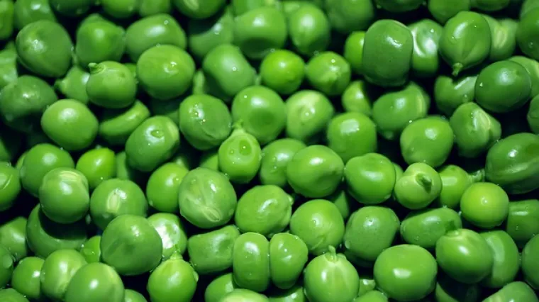 Recept kako pripremiti pirjani gra&scaron;ak