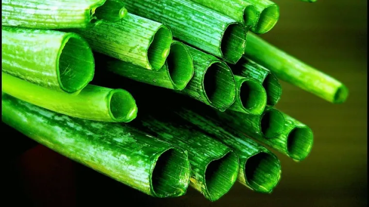 Kako iskoristiti i pripremiti zeleni dio poriluka?