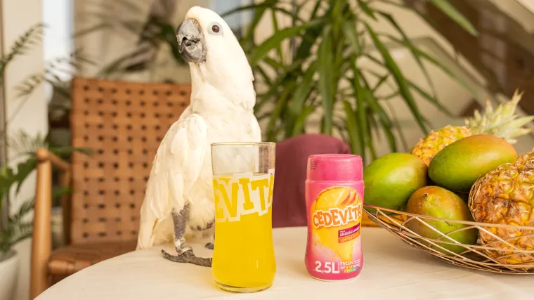 CEDEVITA ANANAS MANGO