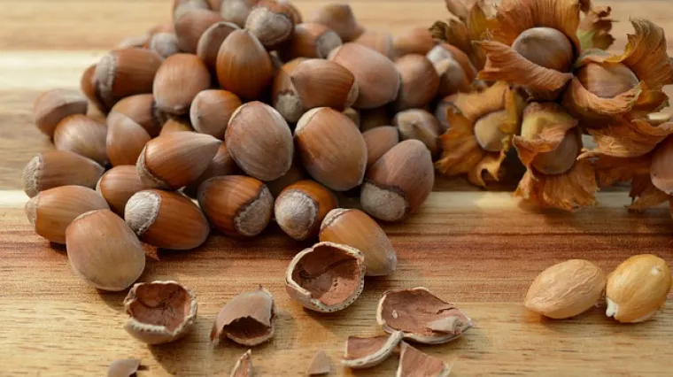 Recept za jednostavni kolač s lje&scaron;njacima