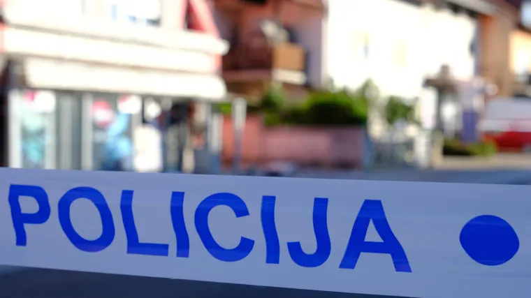 Mu&scaron;karac vatrenim oružjem ubio psa na livadi u blizini Petrinje