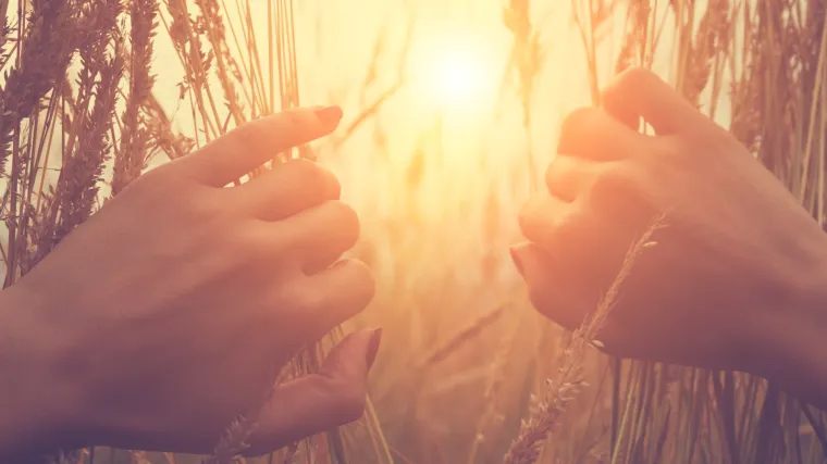 Rije&scaron;ite kviz: Možete li dobiti 10/10 u poznavanju narodnih izreka? Pa čuli ste ih 100 puta...