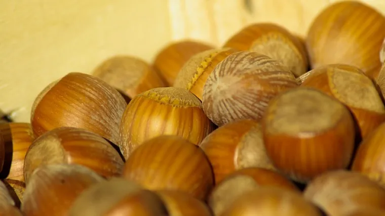 Nepečeni kolači od lješnjaka savršeni desert za sve prigode