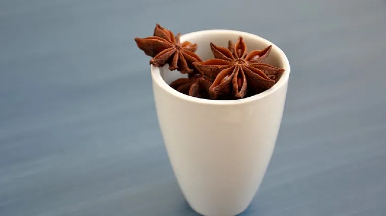 Dobrobiti i priprema čaja od zvjezdastog anisa