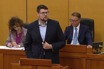 Peđa Grbin na izvanrednoj sjednici Sabora: 'Ma boli me briga za košarku i tu nesretnu izjavu'