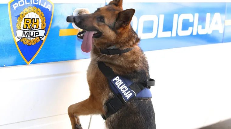 Pijani policajac vozio prebrzo pa se zabio u kombi i sletio u kanal. Poginuo je policijski njemački ovčar