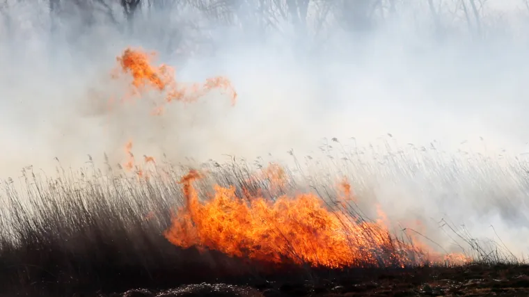 Razmislite dva puta prije nego pripalite otpad na polju. Kazne idu i do 13.000 eura...