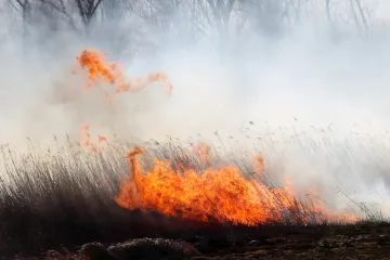 Razmislite dva puta prije nego pripalite otpad na polju. Kazne idu i do 13.000 eura...
