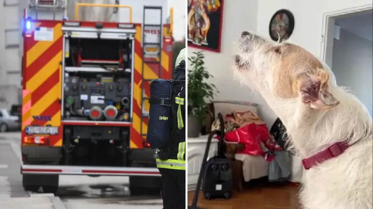 VIDEO Vatrogasci objavili najsmje&scaron;niji video ikad: 'Tonka, jesi ti bila vatrogasac u pro&scaron;lom životu?'