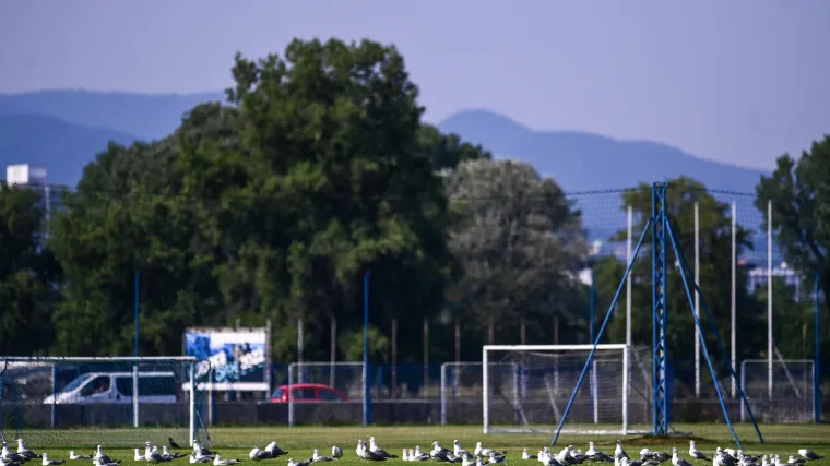 Lokomotiva objavila kako bi mogao izgledati mogući stadion na Kajzerici
