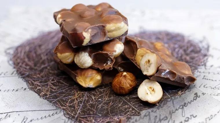 Razmazite se uz recept za kremastu pitu od čokolade i lje&scaron;njaka