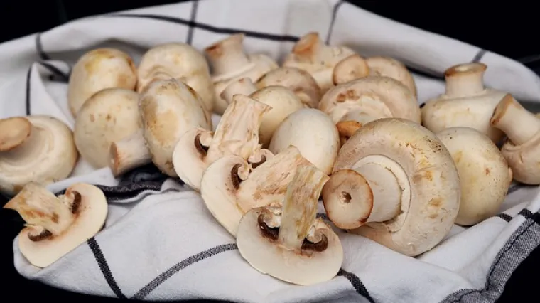 Umak od gorgonzole i &scaron;ampinjona - recept i priprema