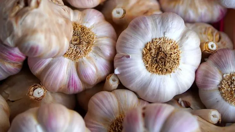 Umak od če&scaron;njaka i senfa - recept i priprema