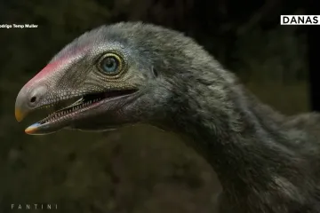 Paleontolog pronašao fosil u Brazilu koji bi mogao rasvijetliti porijeklo dinosaura