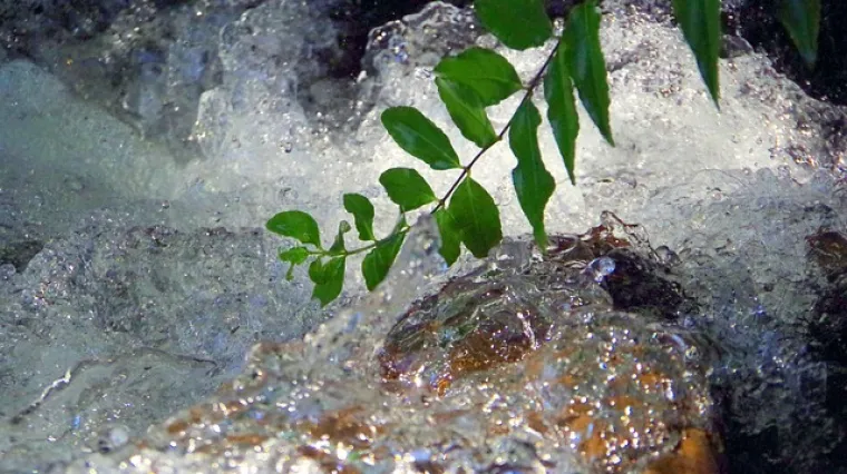 Gdje se nalazi izvor rijeke Neretve? Kako pronaći izvor rijeke Neretve?