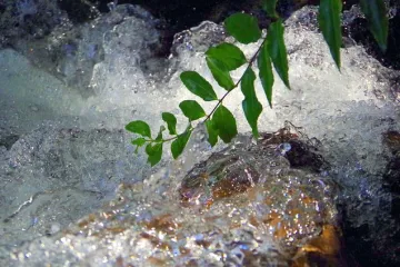 Gdje se nalazi izvor rijeke Neretve? Kako pronaći izvor rijeke Neretve?