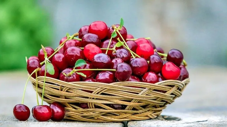 Recept za savr&scaron;en voćni kolač s vi&scaron;njama crvenkapica