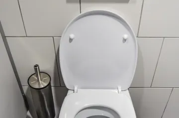 Kako oprati WC dasku? Koja sredstva koristiti za pranje WC daske?