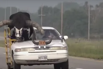 Zbog 'suvozača' morao izrezati pola automobila; i policija ostala u &scaron;oku: 'Prijavu nismo ni razumjeli dok nismo vidjeli'