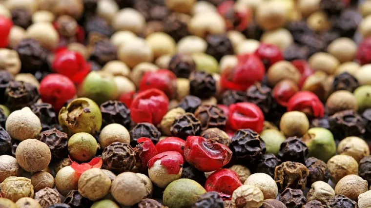 Kako raste papar? U kojem podneblju raste papar?