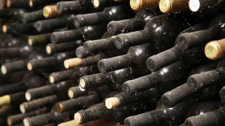 Hrvatska kraljica vinove loze i ponos Zlatne Slavonije