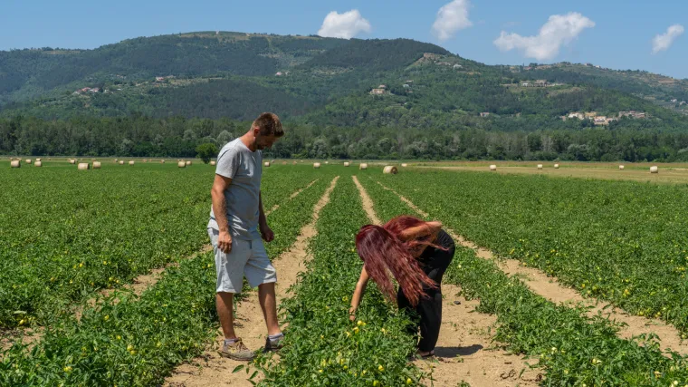 Rajčice, konoplja i magarci njihov su život