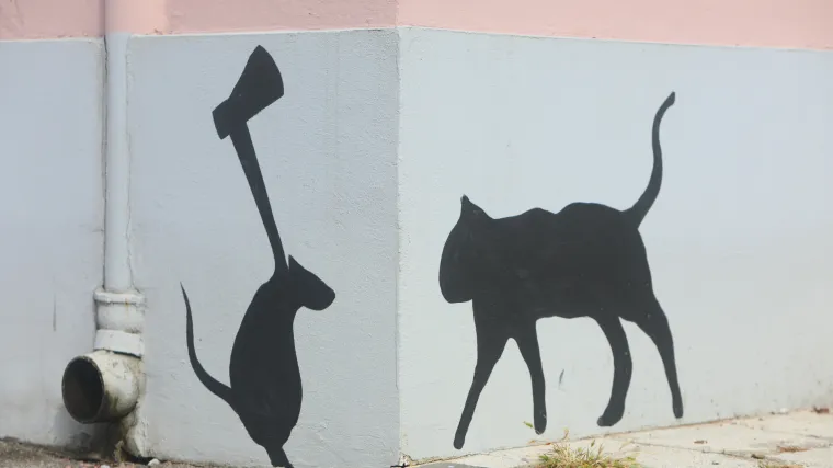 FOTO Maco, ne idi iza ugla! Grafiti silueta mačaka odu&scaron;evili Karlovčane, a i vama će podignuti dan!