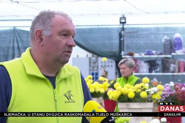 Prodaja cvijeća za blagdan Svih svetih u punom je jeku. Koliko ćemo plaćati krizanteme?