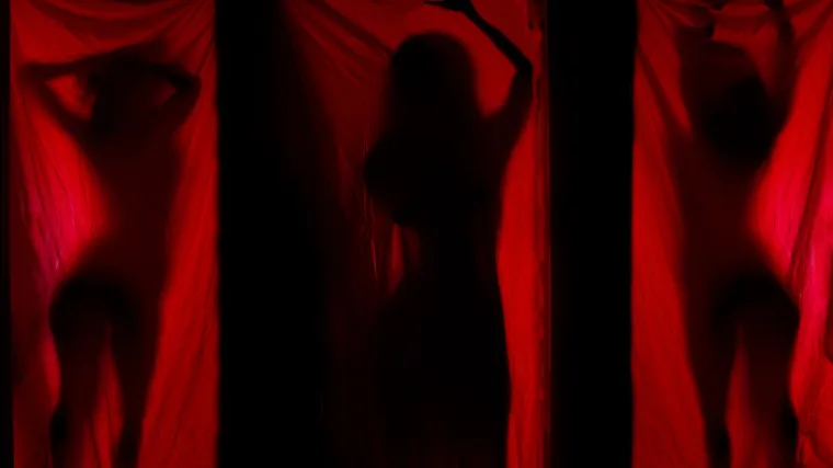 Lanac prostitucije i trgovine ljudima u susjedstvu! Policija upala u hotelsku sobu i privela 14 osoba