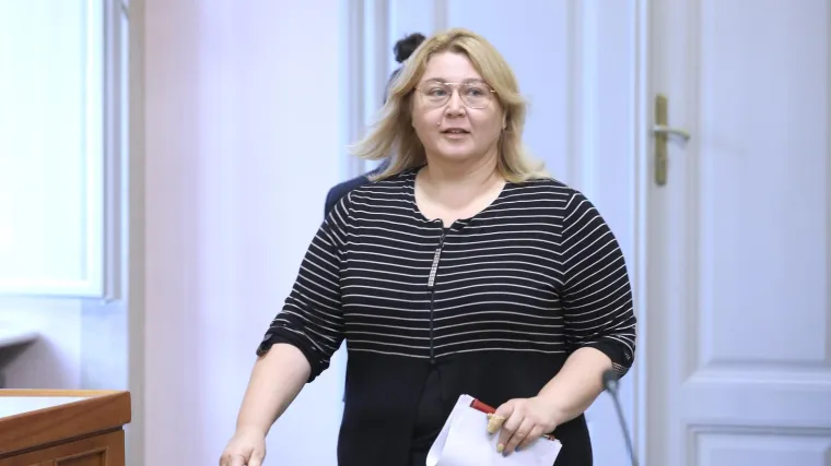 Posavec Krivec: 'Treba omogućiti da istospolni parovi mogu posvajati djecu'