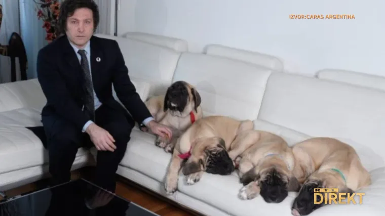 'Zamotajte ga u vlažan ručnik, stavite u hladnjak' i klonirajte svog psa? U SAD-u i Južnoj Koreji praksa sve če&scaron;ća