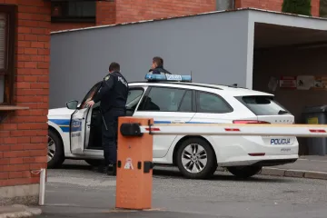 Žena pozvala policiju zbog obiteljskog nasilja: Otac i sinovi prebili policajce, prijetili da će ih zaklati