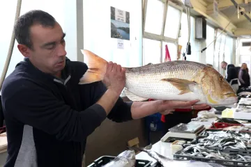 Ljepotan, kapitalac, zubatac - kralj mora! Težak 7,60 kilograma nudio se na šibenskoj ribarnici