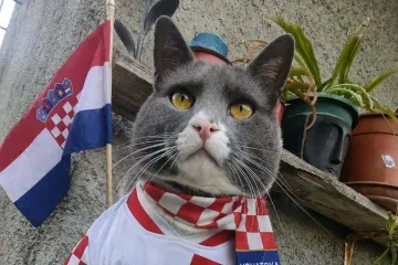 Nju&scaron;e pobjedu: Ljubimci na&scaron;ih čitateljica jedva čekaju utakmicu