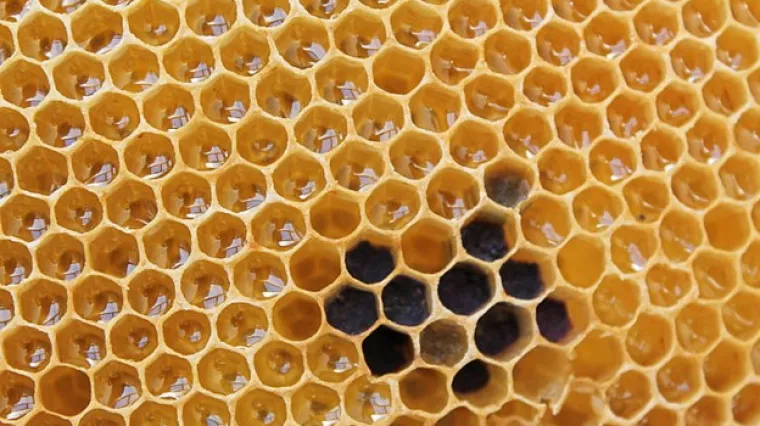 Naizgled običan broj