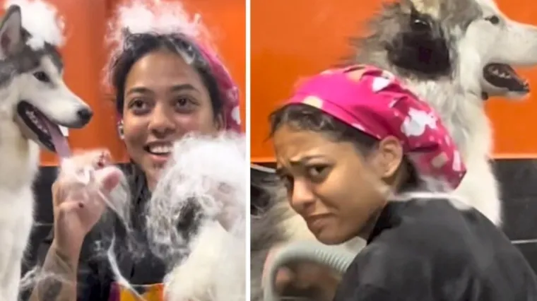 Bavi se uljepšavanjem životinja, a ovaj joj je haski zadao težak posao: Bila je mokra od glave do pete